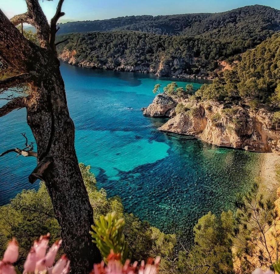 Logement Vue Mer Splendide - Situe A 50 Metres Du Bord De Mer Et 2 Minutes Des Plages - Bandolina Extérieur photo