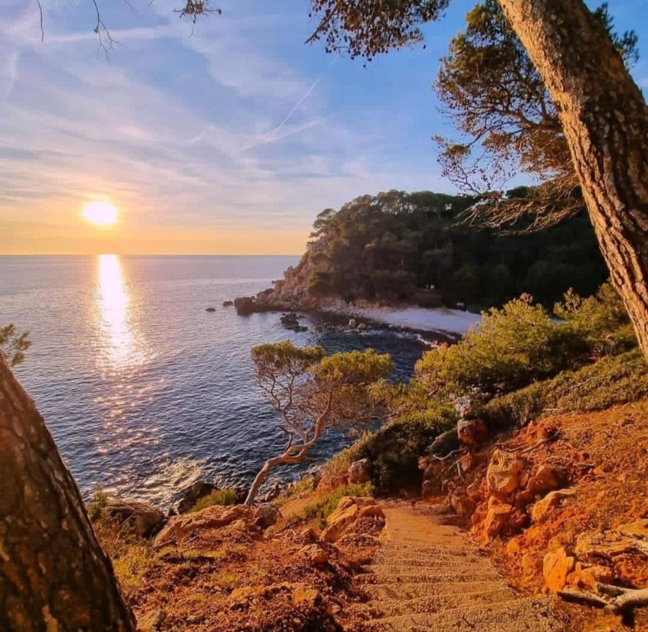 Logement Vue Mer Splendide - Situe A 50 Metres Du Bord De Mer Et 2 Minutes Des Plages - Bandolina Extérieur photo