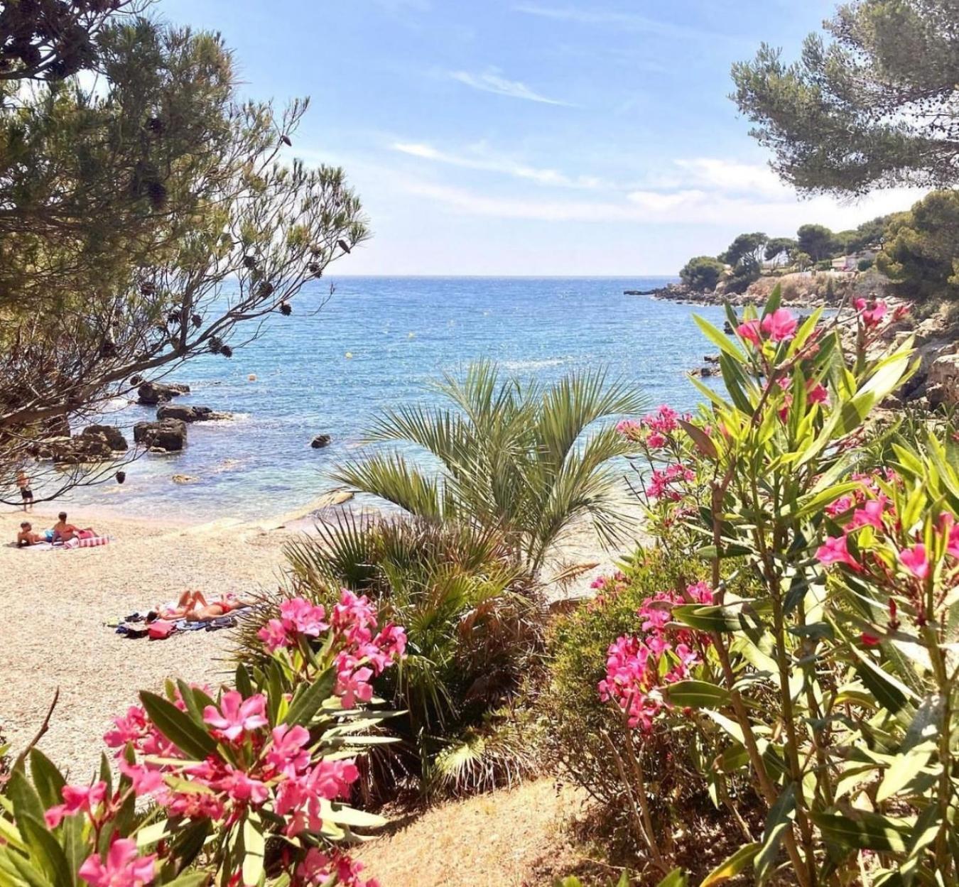 Logement Vue Mer Splendide - Situe A 50 Metres Du Bord De Mer Et 2 Minutes Des Plages - Bandolina Extérieur photo